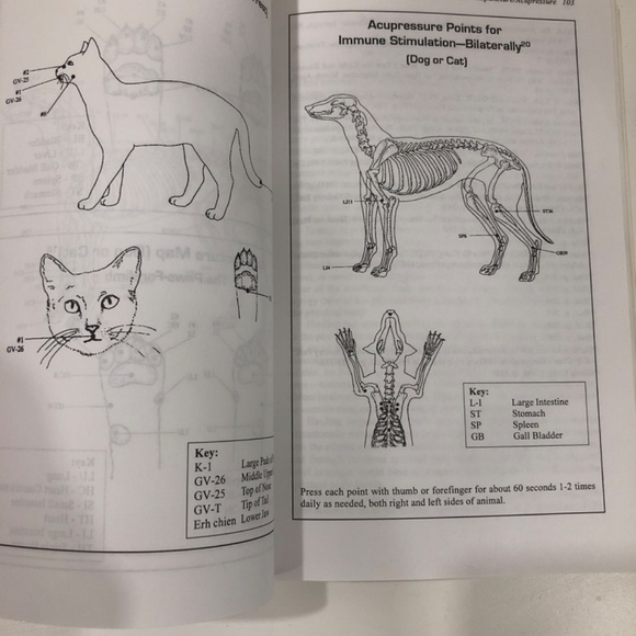 The Natural Remedy Book for Dogs & Cats, by Diane Stein - Picture 4 of 6